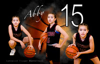 11x17PosterAbby